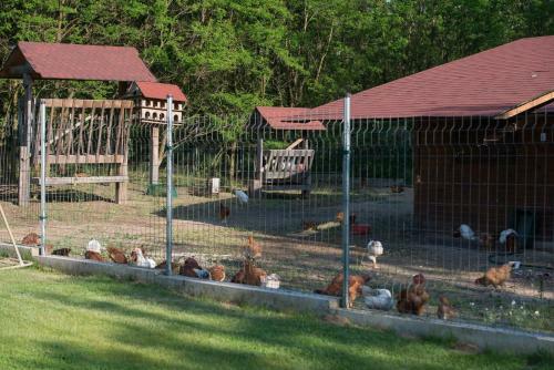 Hostal Farkasverem Vend�gh�z