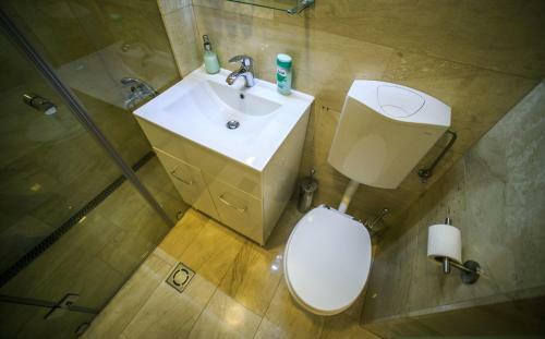 Budapest Downtown Apartments