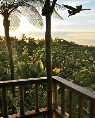 Hostal Sarinbuana Eco Lodge