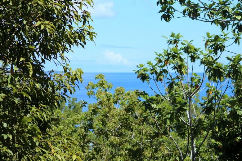 Mamaling Resort Bunaken