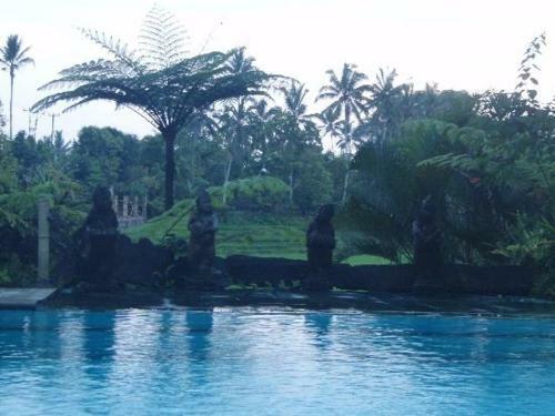 Cempaka Belimbing Villa
