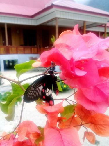 Posada Nusa Nalan Beach Resort