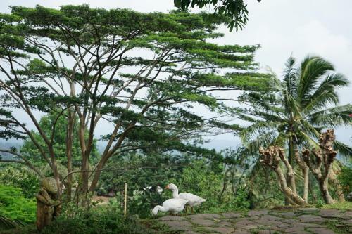Hotel Rinjani Mountain Garden