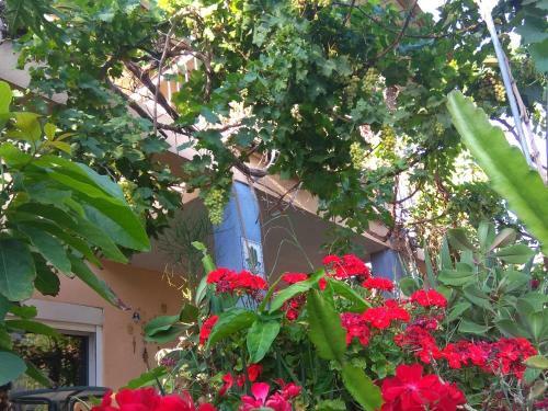Agroturismo Kibbutz Ha'ogen