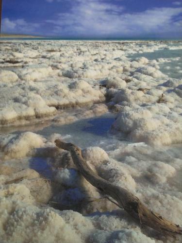 Lodge Carmit's Dead Sea Place