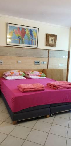 Hostal Shefer Guesthouse