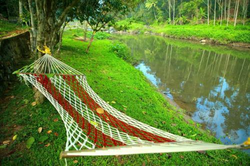 Avondale Homestay