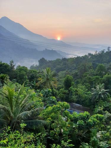 Lilly Grace Homestay