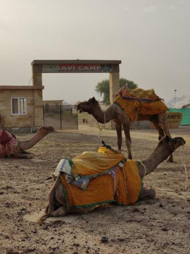 Savi Camps Jaisalmer