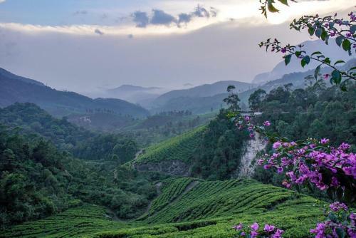Munnar Pavithra Riverview Homestay