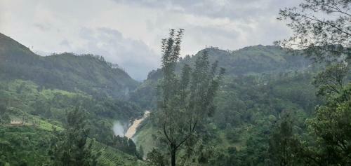 Hotel Mount Valley Resort - A Secluded Getaway