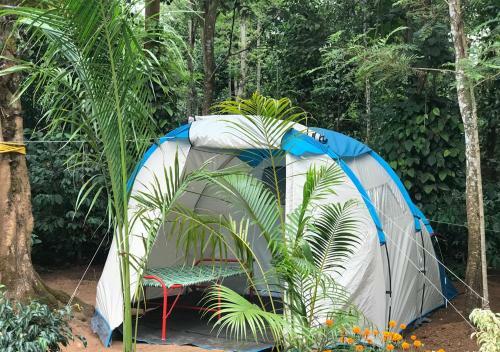 Agroturismo Tri Woods Plantation Farm Stay