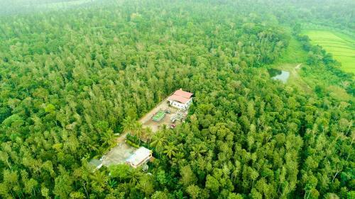 Agroturismo Tri Woods Plantation Farm Stay