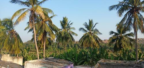Bed & Breakfast Netra Guest House