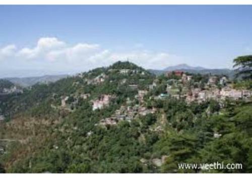 Budget Friendly Rooms In Shimla