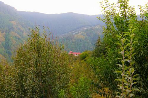 Agroturismo Apple Orchard Farmstay