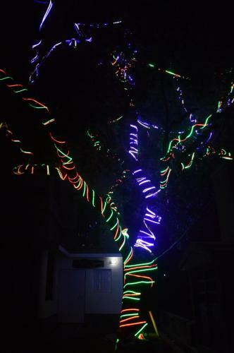 Dancinglights Home Stay