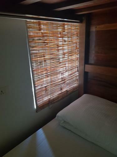 Micasa Hostels