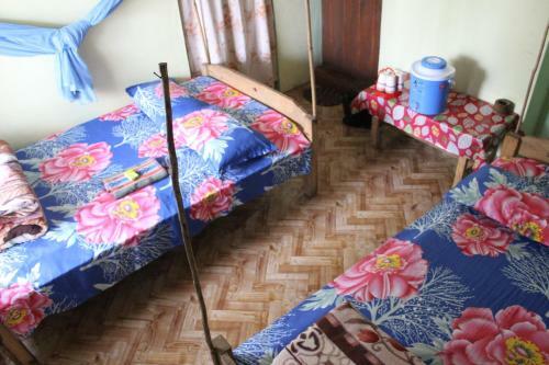Pumpkin Hala Rympei Homestay