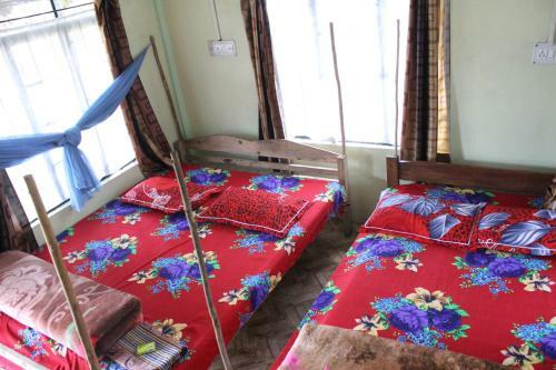 Pumpkin Hala Rympei Homestay