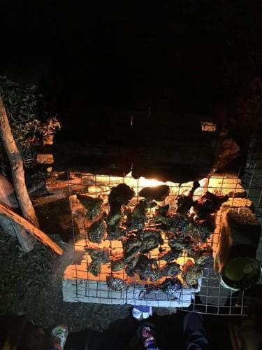 Camping De Dooars