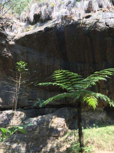 Golden Fern Eco Stay