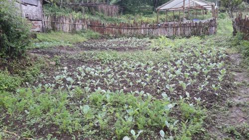 Agroturismo Yangsum Heritage Farm