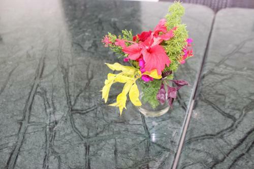 Hotel Ramya Resort & Spa