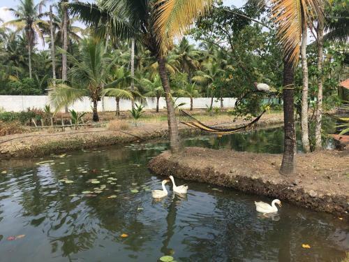 Agroturismo Pranavam Munroe Verdure