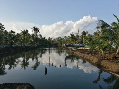 Agroturismo Pranavam Munroe Verdure
