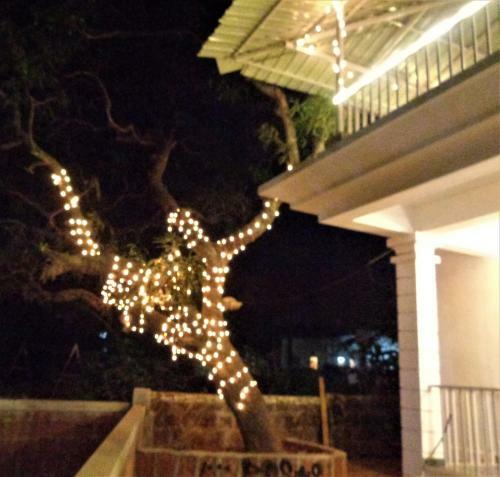Rootsvilla Hostel