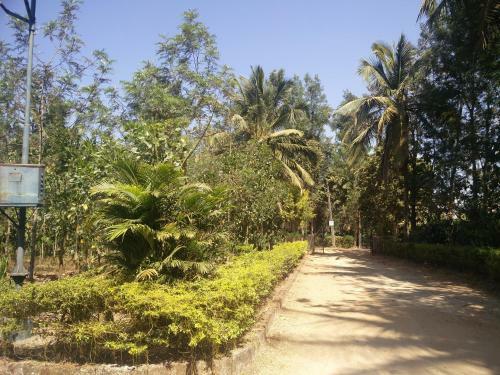 Coffee Bean Villa