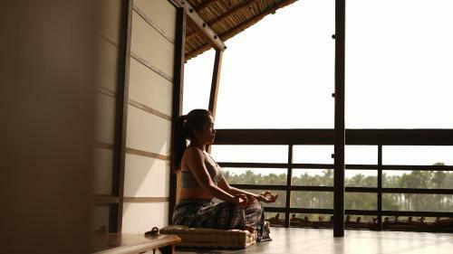 Hotel Chinnar Eco Living