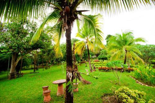 Hotel Touch Star Resort