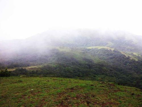 Gowdahalli Forest - Sakleshpur