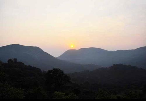 Gowdahalli Forest - Sakleshpur