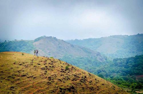Gowdahalli Forest - Sakleshpur