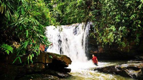 Gowdahalli Forest - Sakleshpur