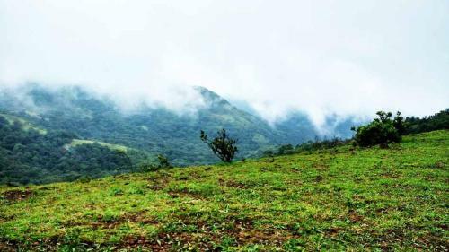 Gowdahalli Forest - Sakleshpur