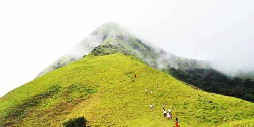 Gowdahalli Forest - Sakleshpur