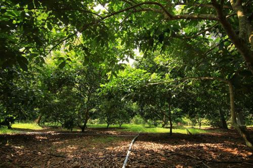 Agroturismo John's Farm And Home