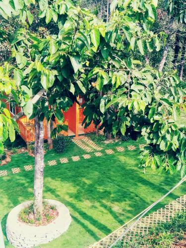 Agroturismo Camp At Aclat Meadows