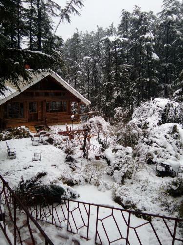 Hotel Chalets Naldehra