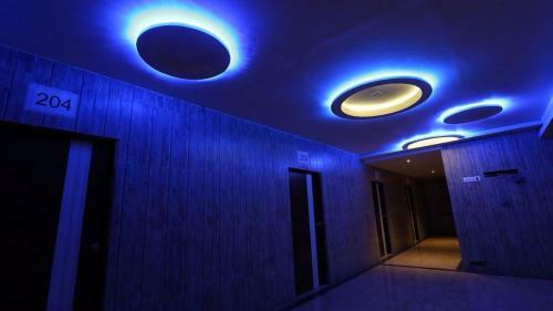 Hotel Asha
