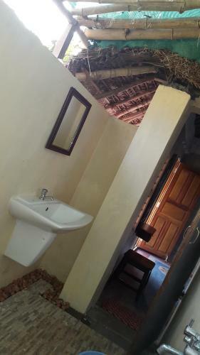 Hostal Paddy Homestay