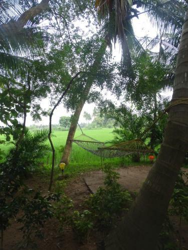 Hostal Paddy Homestay