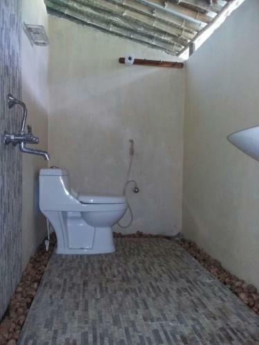 Hostal Paddy Homestay