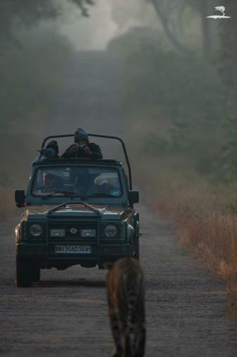 Hotel Red Earth, Tadoba