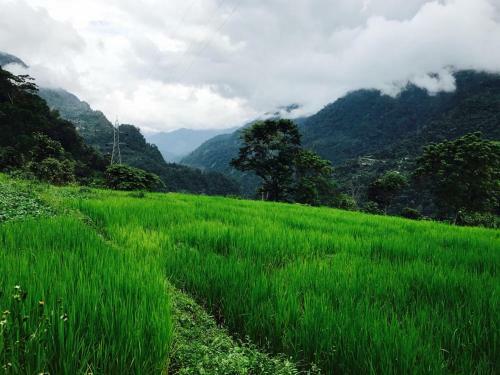 Shanti Niwas Homestay