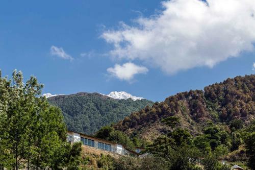 Hotel Rakkh Resort